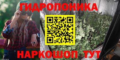 стаф Усть-Илимск